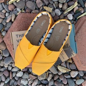 Gold fusion heritage canvas Toms